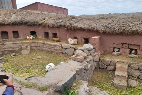 Puno: Sillustani Chullpas Guided Tour From Puno: Uros Floating Islands Guided Tour