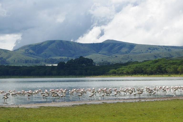 Tagestour zum Lake Naivasha, Cresent Island und Hell's Gate Park