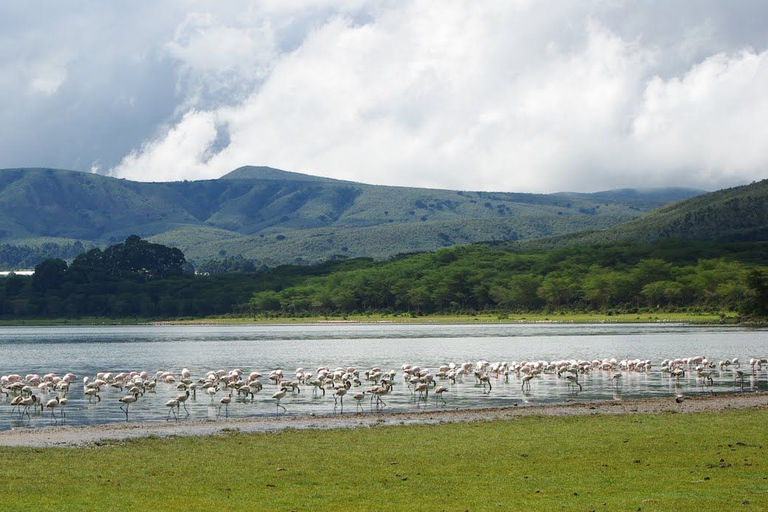 Tagestour zum Lake Naivasha, Cresent Island und Hell's Gate Park