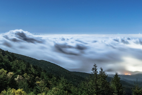 Tokyo : Excursion d'une journée à la 5e station du Mont Fuji, dans la région du Fuji et à Kawaguchiko8:20 Rendez-vous au bureau de poste de Shinjuku