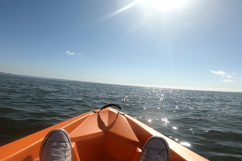 Swakopmund: Sunset Kayaking Tour with Hotel Pickup