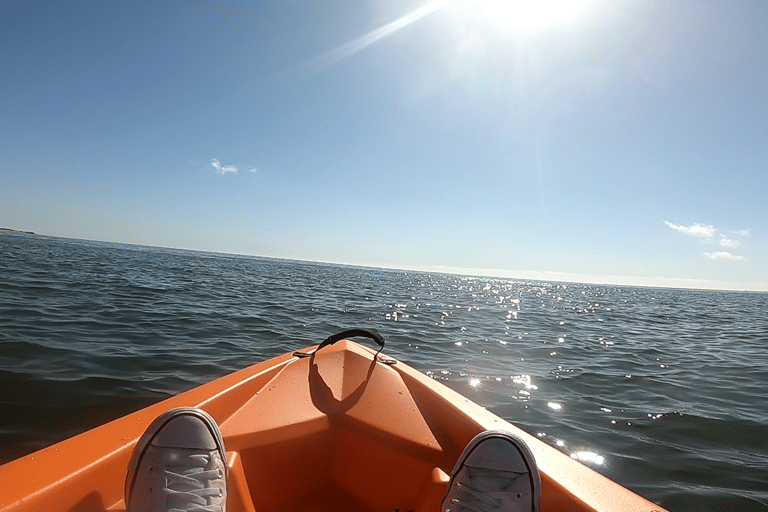 Swakopmund: Sunset Kayaking Tour with Hotel Pickup