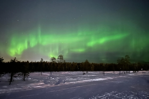 罗瓦涅米：适合家庭的北极光之旅