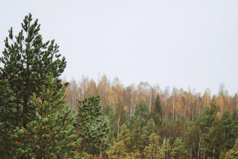 Führung durch den Kemeri-Nationalpark