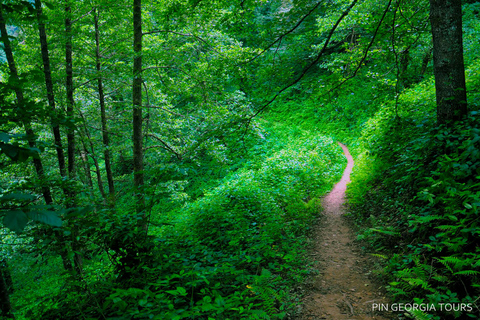 Batumi: Mtirala National Park Guided Hiking & Treetop Tour Mtirala National Park Private Tour