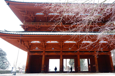 Koyasan Hidden Gems Day Trip From Osaka