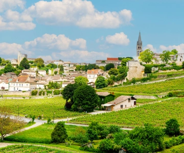 Desde Burdeos: Ruta del Vino de Saint-Emilion y Pomerol