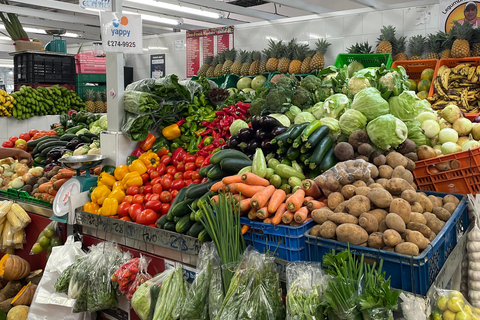 "Fietstour Casco Viejo en Panama Stad Ontdek de essentieFietstour in Panama Stad en de Oude Stad met lokale gids