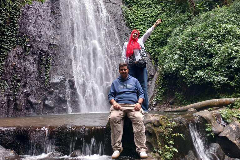 Taman Safari and Tea Plantation Tour at Puncak