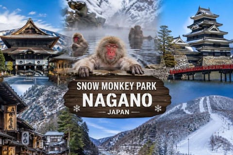 From Tokyo: Snow Monkey Private Customizable Tour With Guide - Image 2