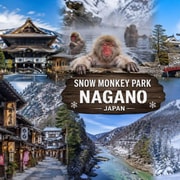 From Tokyo: Snow Monkey Private Customizable Tour With Guide