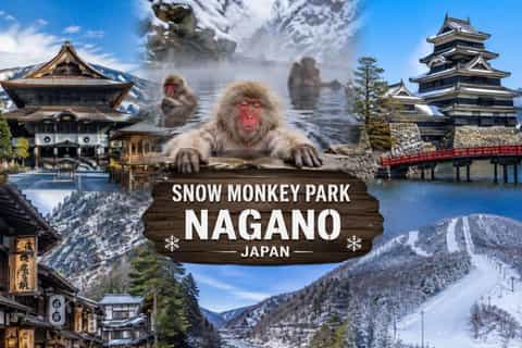 From Tokyo: Snow Monkey Private Customizable Tour With Guide - Image 3