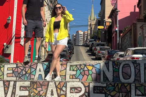 Viña del Mar and Valparaiso: Private Tour