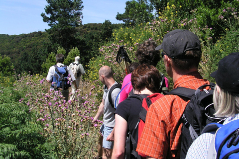 La Gomera: Guided Hiking Tours from Valle Gran ReyThe Table Mountain on Fridays