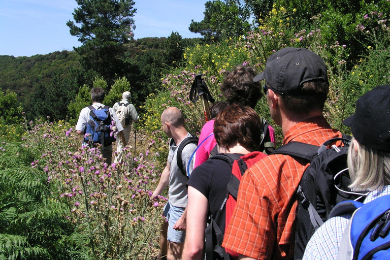 La Gomera: Guided Hiking Tours from Valle Gran ReyRainforest on Wednesdays