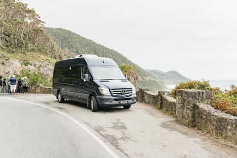 Sightseeing on wheels