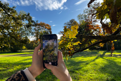 Wilde Schöhnheit - Ein Fotospaziergang durch die grünen Oasen in Weimar