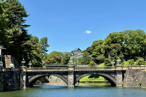 Tokyo: Private Custom Tour by Car with Local Guide - Image 2