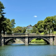 Tokyo: Private Custom Tour by Car with Local Guide