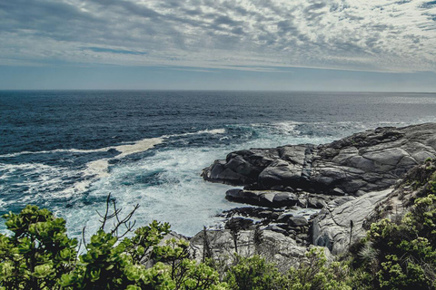 Santiago: Escursione privata di un giorno alla spiaggia di Zapallar