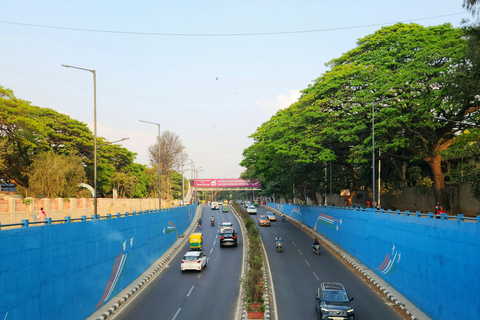 Bangalore: Private Tour Entdecke lokale Edelsteine und heilige Tempel