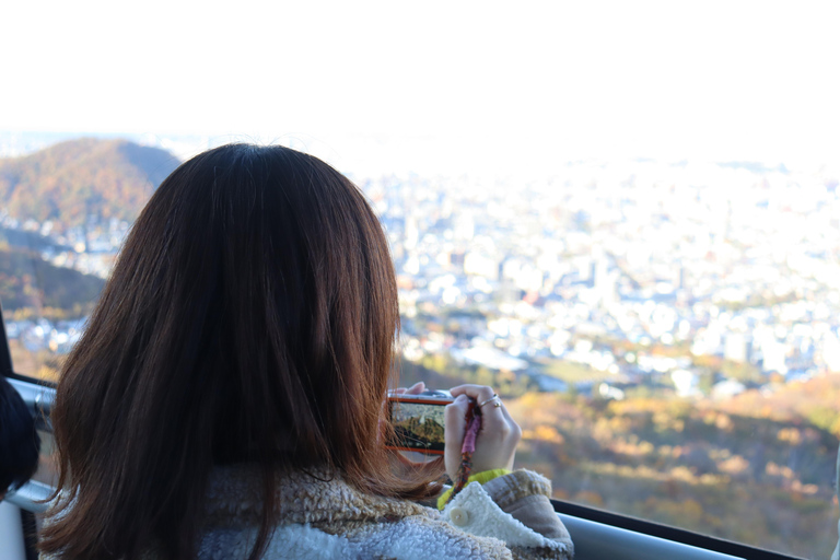 سابورو: جولة تلفريك جبل مويوا - ليلاً أو نهاراً، 4 خياراتاليوم – RT المحلي