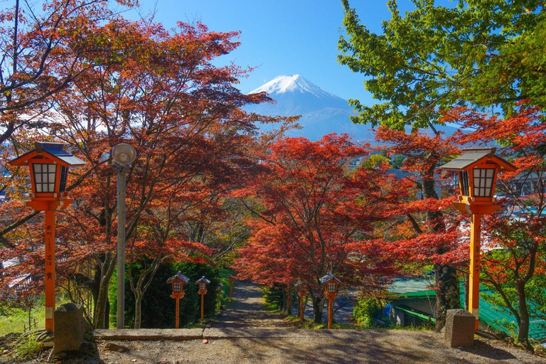 Tokyo: Mt Fuji&Chureito Pagoda&Lake Kawaguchi&Oshino Hakkai Free Karaage Chicken Set | 8AM Tokyo Station Departure