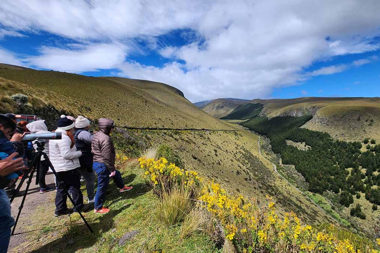 Antisana Volcano Private Day Tour from Quito