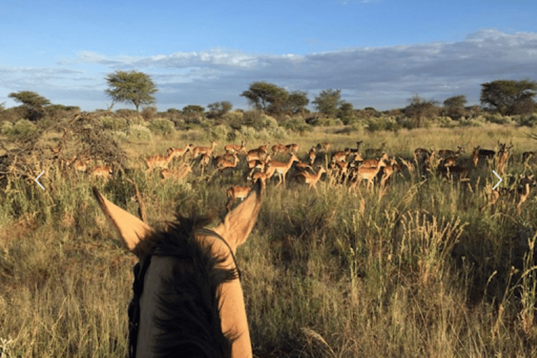 Botsuana: safari a caballo por la reserva natural de Mashatu