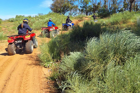 Hammamet: Quad/ATV Tour with 1.5 hours of pure fun Quad bike excursion: Set off to explore the hinterland of Nabeul for 1.5 hours