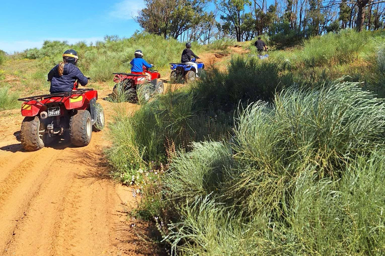 Hammamet: Quad/ATV Tour with 1.5 hours of pure fun Quad bike excursion: Set off to explore the hinterland of Nabeul for 1.5 hours