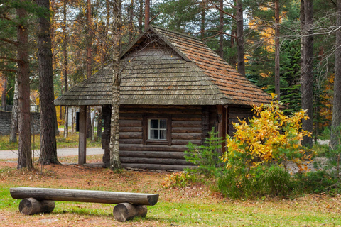 Skip-the-Line Estonian Open Air Museum Private Guided Tour 2-hour: Estonian Art Museum Tour