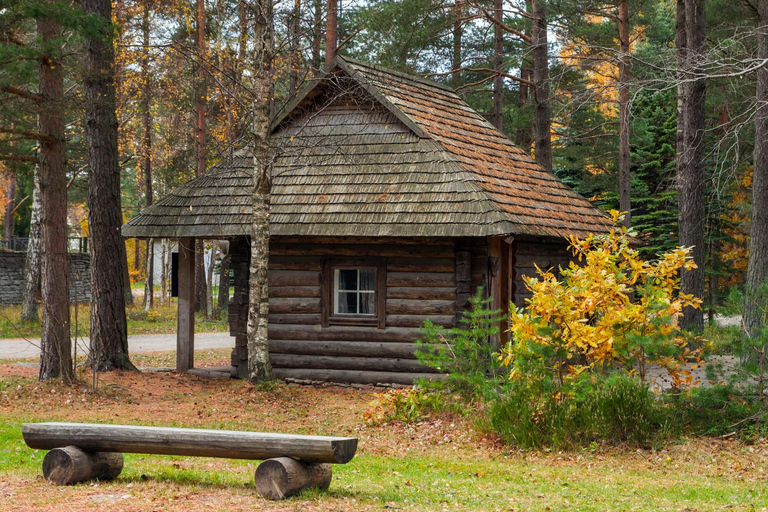 Skip-the-Line Estonian Open Air Museum Private Guided Tour 2-hour: Estonian Art Museum Tour