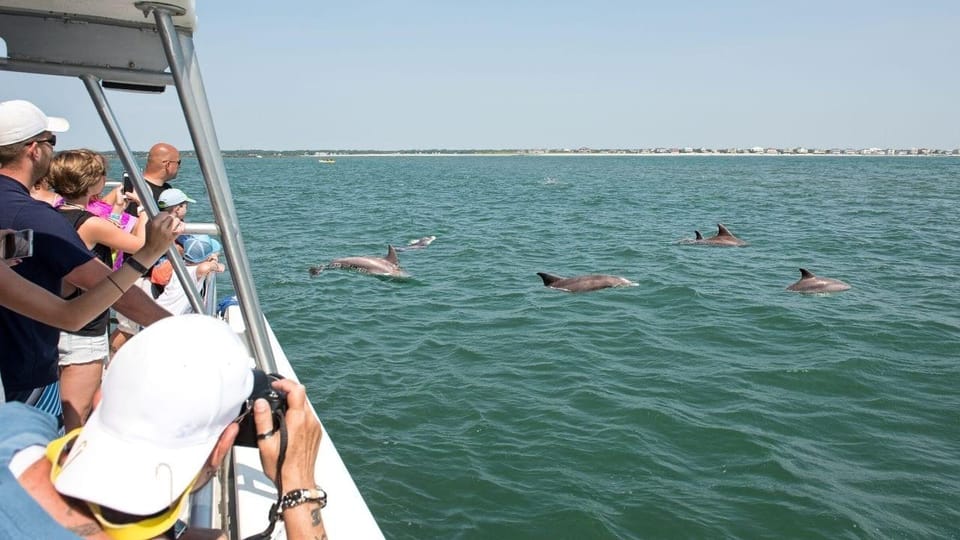 ocean city md dolphin cruise