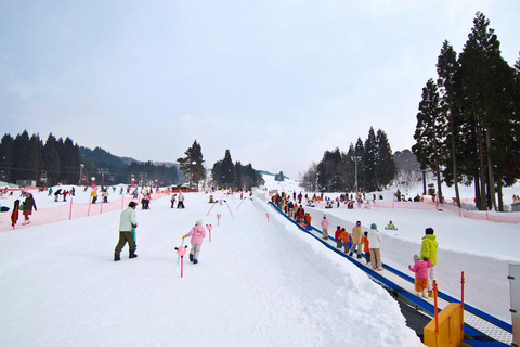 Nagoya: Washigatake Ski Resort Day Trip with Lift Ticket Nagoya: Include bus fare & lift ticket