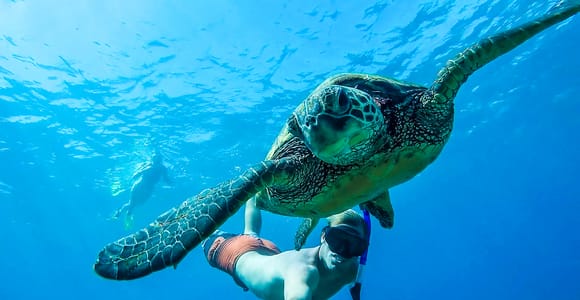 San Juan: Beginner Snorkeling Tour with Turtles and Videos