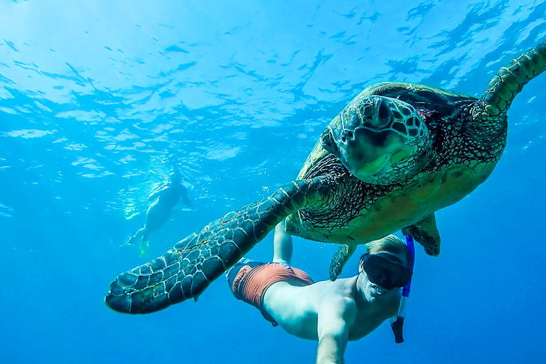 Puerto Rico: Snorkeling with Turtles Adventure