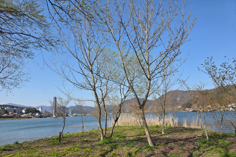 Seoul: Hallyu Nami Island Day Trip with romantic Train