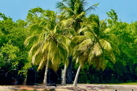 Escursione all inclusive negli isolotti del Grand Cul de Sac MarinEscursione all inclusive alle isolette del Grand Cul de Sac Marin