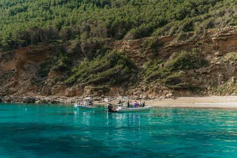 Alcudia: Dolphin Watching & Sunrise Coast Cruise with Guide