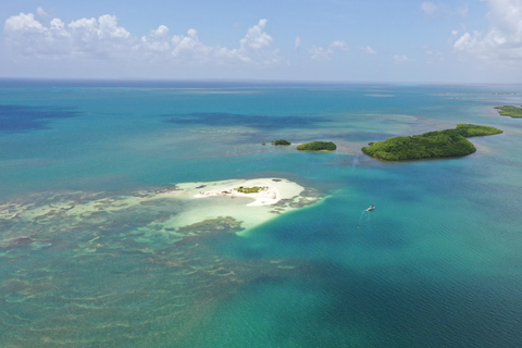 Guadeloupe: Magical half-day boat trip: mangrove, islet, snorkeling. Guadeloupe: Magical 1/2-day boat trip: mangrove, islet, snorkeling.