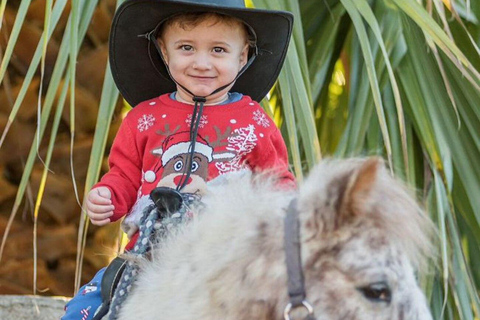 Side: Horse Safari and Family Activity Park Entry 2-Hour Extended Horse Safari Experience