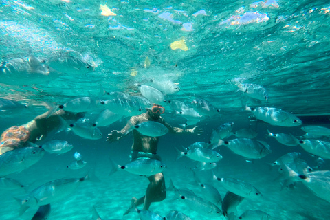 From Palau: Maddalena Archipelago Catamaran Tour with Lunch