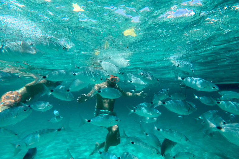 From Palau: Maddalena Archipelago Catamaran Tour with Lunch