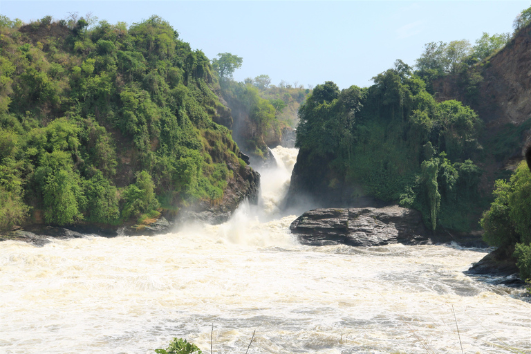 Uganda Art, with Wildlife in Murchison Falls National Park