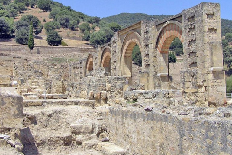 Cordoba: Guided Visit of Azahara Medina with an Official Tour Guide