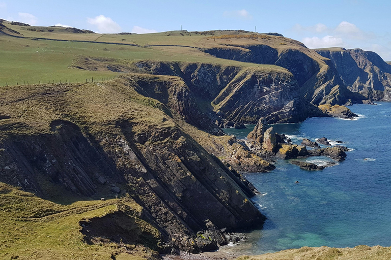 Small Group | Holy Island, St Abbs & Bamburgh Full-Day Tour