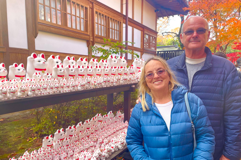 Tokyo: Gotokuji Cat Temple, Shinjuku Cat Cafe & 3D Cat Tour