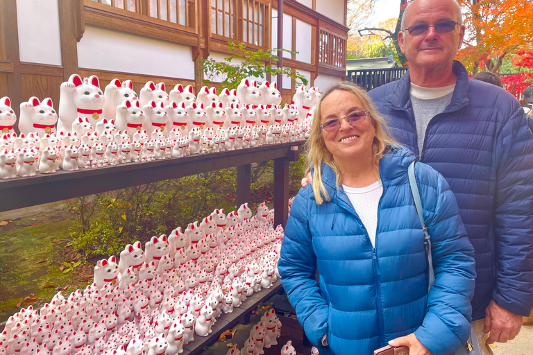 Tokyo: Gotokuji Cat Temple, Shinjuku Cat Cafe & 3D Cat Tour