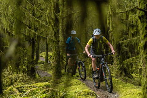 Rostrevor :Electric Mountain Biking Experience